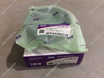 9180579:Ремкомплект гидроцилиндра рукояти